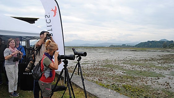 Las marismas de Santoña se van este fin de semana de festival con talleres, rutas y puestos de observación