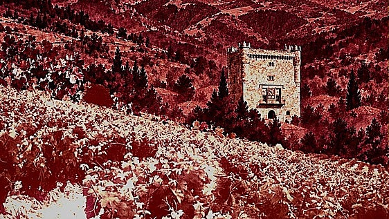 Pintar con vino la vendimia lebaniega