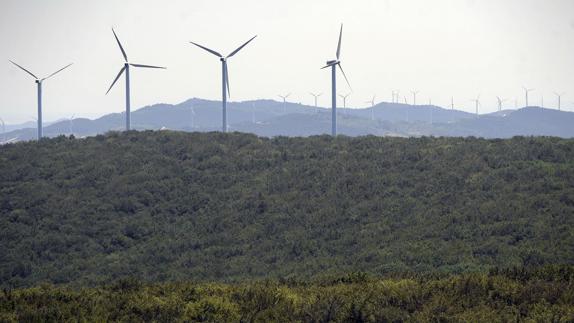 En Canadá, más del 65% de la electricidad procede de la energía hidráulica y eólica.