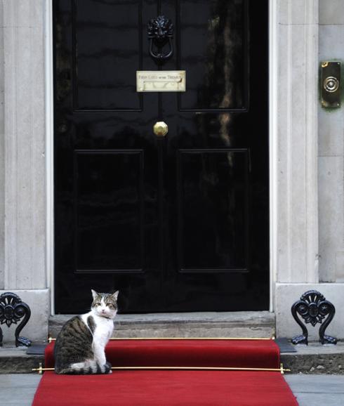 El gato Larry en las escaleras de la residencia del primer ministro.