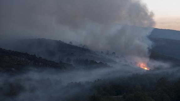 Vista del incendio forestal de Muiños.