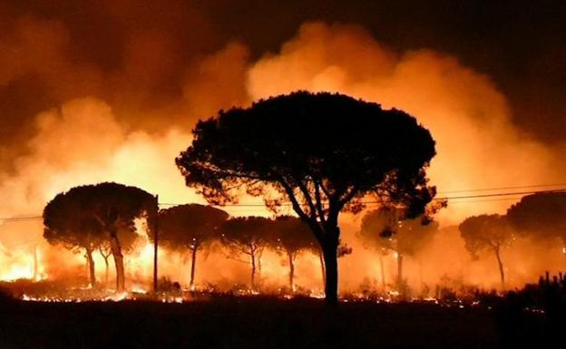 Incendio en el paraje La Peñuela de Moguer (Huelva).