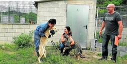 Un centenar de perros encuentra hogar gracias a la campaña de adopción