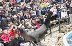 El Soplao se convierte en centro de peregrinación de los turistas