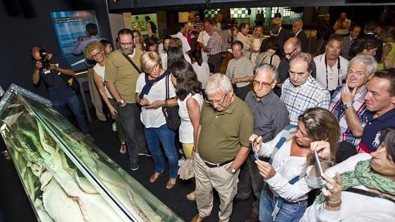 Expertos y profanos se acercaron a conocer de cerca al calamar