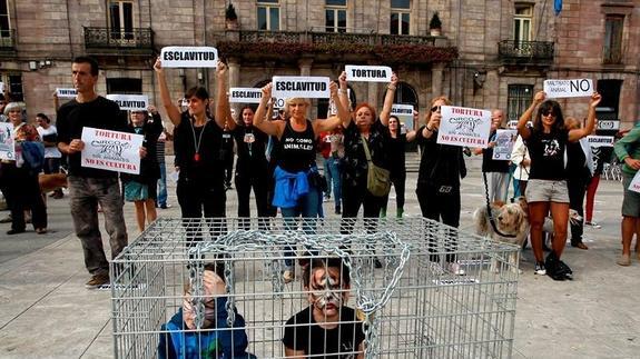 Contra los circos con animales