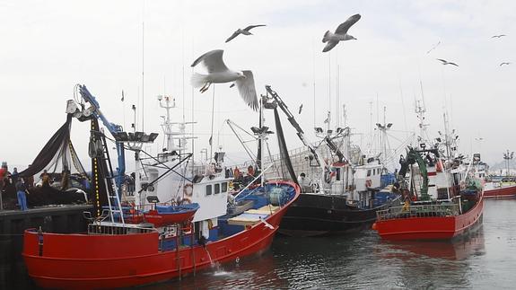 Cantabria recibirá 16 millones de euros del Fondo Europeo de Pesca para el periodo 2014-2020