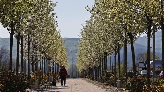 La calidad del aire de Torrelavega mejora