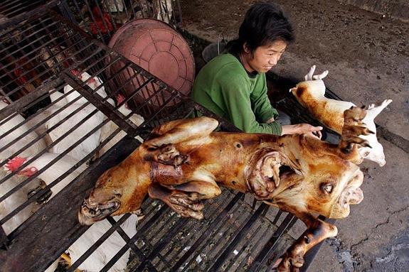 Perros sacrificados en un mercado de Lijiang, donde la carne de este animal es muy apreciada.