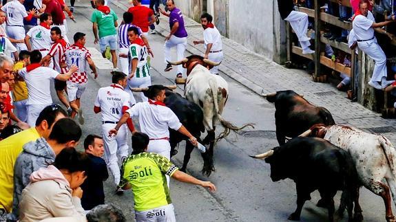 Los astados se comportaron con nobleza a lo largo de todo el encierro, pues hicieron el recorrido en manada con los mozos muy cerca de ellos. 