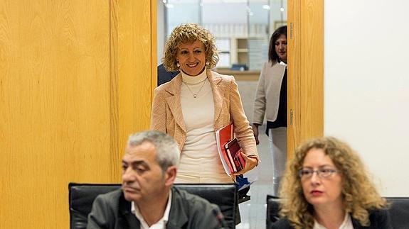 Eva Díaz Tezanos, a su llegada a la reunión