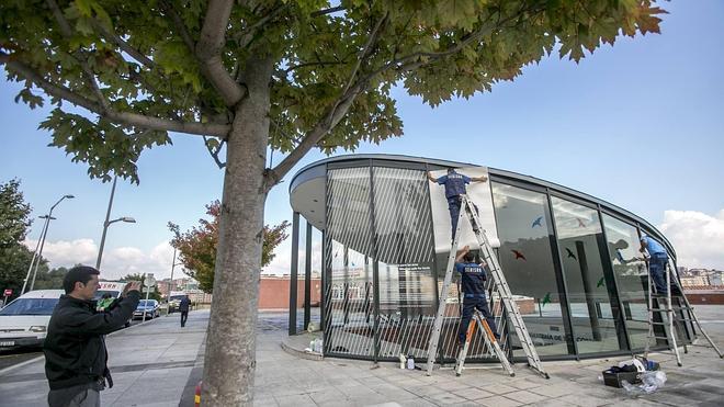 Momento de la colocación de los vinilos en el campus.