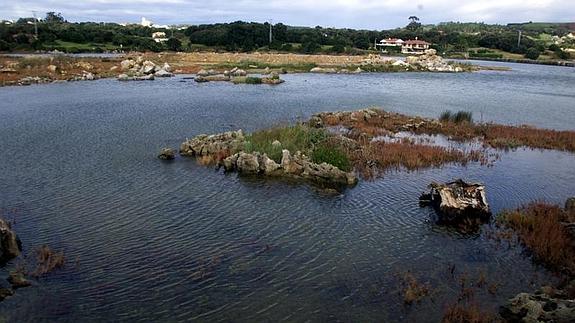 Vista de la Marisma de Joyel, en Arnuero.