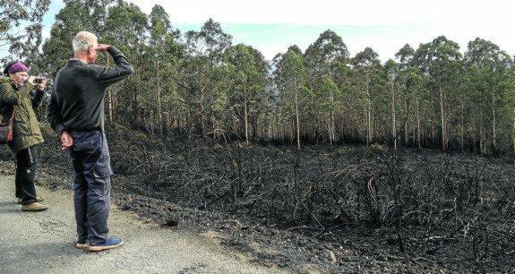 Dos personas observan los daños provocados por uno de los incendios forestales de la pasada semana en Tarrueza (Laredo). 