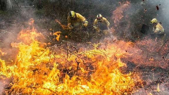 La plantilla necesitaría 90 personas más