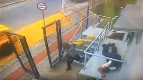 Sobreviven gracias a fingir su muerte