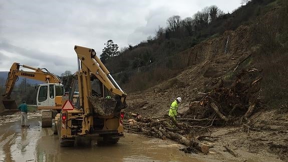 Una de las máquinas excavadoras retira las ramas acumuladas en la N-635.