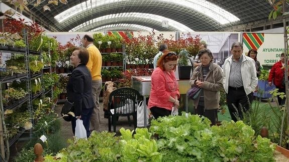 Una treintena de expositores acudirá a la Feria de las Plantas de Torrelavega
