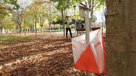 Los circuitos de orientación cuentan con balizas que marcan el recorrido del participante