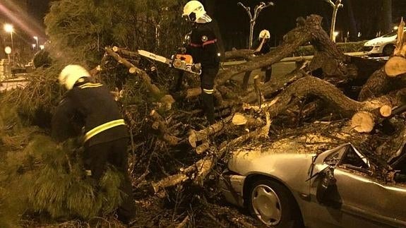 Los bomberos, cortando el árbol para liberar uno de los coches dañados.