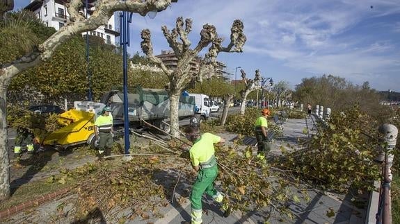 Parte de los contratados realizaran trabajos de jardinería