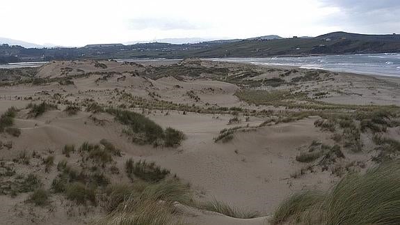 Parque Natural de las Dunas de Liencres