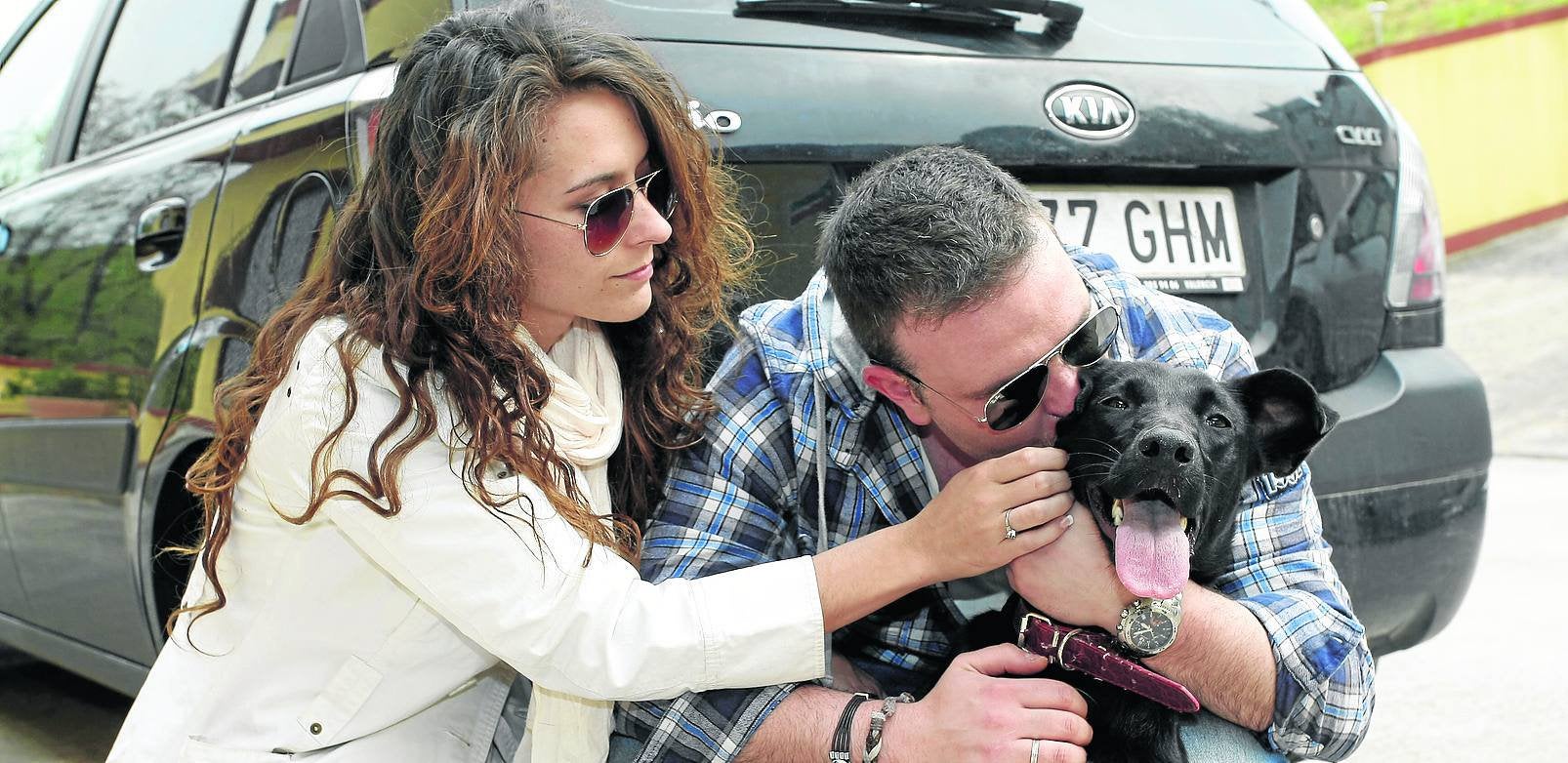 El servicio de recogida de animales rescató el año pasado a 155 perros
