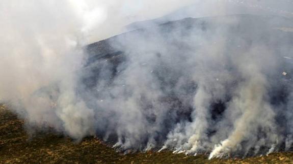 Un año de cárcel por quemar nueve hectáreas de monte