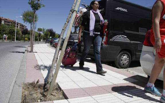 Los vándalos se han cebado este fin de semana con los árboles situados en la avenida de Riomar.