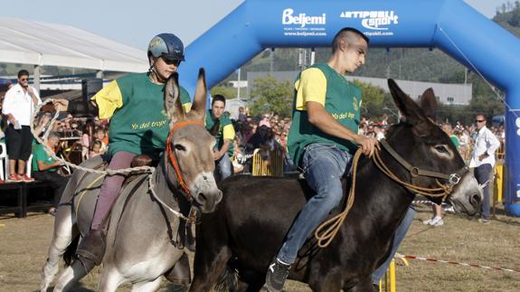 La carrera de burros en Tanos no es ajena a la polémica