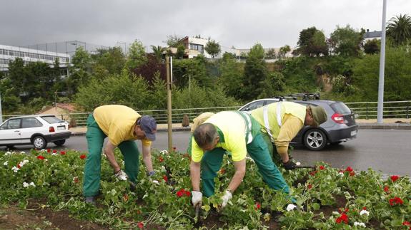 Los trabajadores del Serca se ocupan del mantenimiento de parques y jardines.