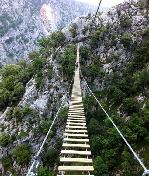 Uno de los puentes tibetanos que hay en la vía ferrata de La Hermida.
