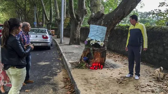 El árbol contra el que colisionó el vehículo siniestrado acabó ayer convertido en un pequeño altar, con flores y velas, en recuerdo de las víctimas.