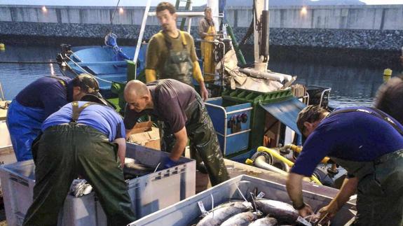 La tripulación del 'Santana Berria' descarga bonito en el puerto de Laredo este verano