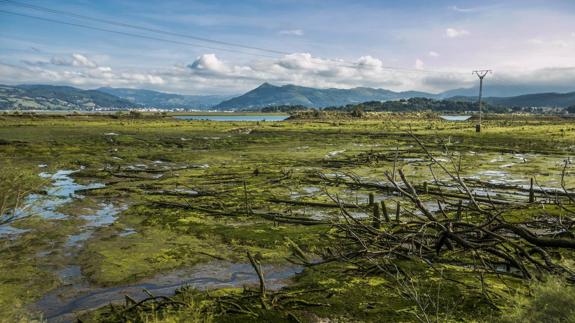 Las marismas de Santoña y Noja son un espectáculo de belleza y constituyen uno de los paisajes marinos más impresionantes del litoral cantábrico.