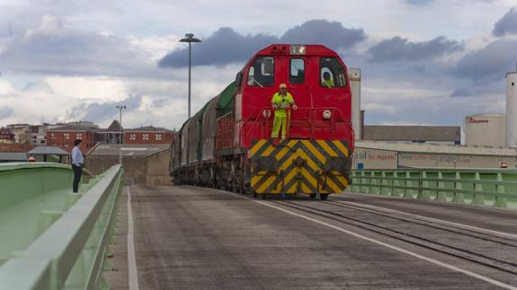 Tren de mercancías en el Puerto de Raos.