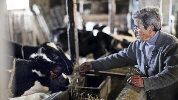 El programa de la mujer rural llegará a 1.600 beneficiarias de 73 municipios