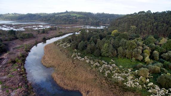 Vista de la marisma de Rubín