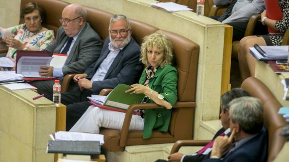 Los consejeros socialistas miran al presidente Revilla y a De la Sierra (PRC) desde sus escaños en el Parlamento. 