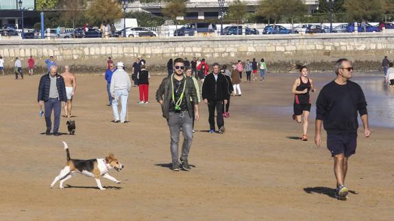 Imagen de la playa de El Sardinero este 6 de diciembre.