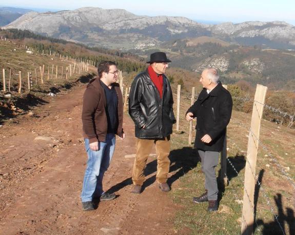 González Linares, en el centro, Borja Gutiérrez y Federico Crespo en una de las plantaciones.