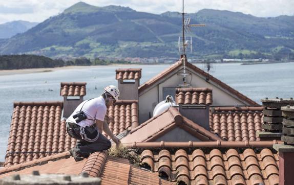 Un operario elimina un nido de gaviota en un tejado de Santoña durante la campaña realizada el pasado año.