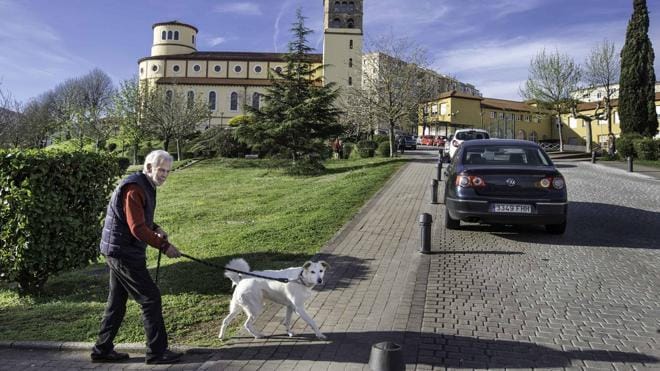 La tenencia de animales, bajo ordenanza