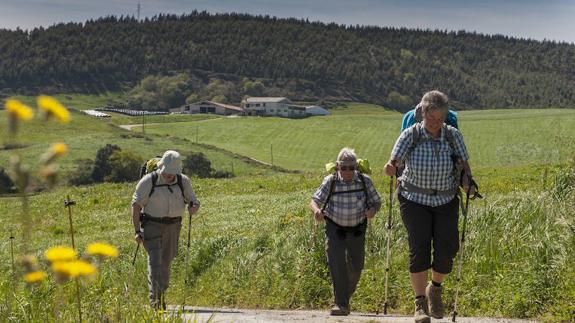 Tres peregrinos afrontan la última subida del Camino del Norte antes de llegar a Güemes y acabar la etapa del día