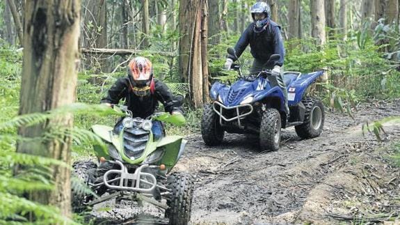 Dos pilotos de quad disfrutan de un paseo por una pista forestal.