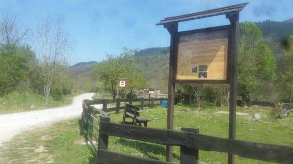 Paseo de Sajuca, a la orilla del río Saja, lugar en el que la mujer fallecida sufrió la embestida de la vaca.