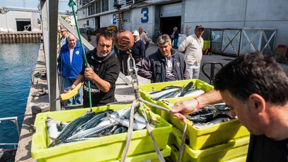 Los trabajadores del Nubei, uno de los primeros en llegar ayer al puerto de Santoña, descargan el verdel que se subastó posteriormente en la lonja. 