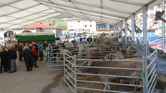 Recinto ferial de ganado de La Serna donde se está celebrando hoy la feria ganadera del 1 de mayo.