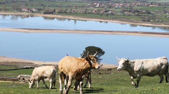 Vistas del Pantano del Ebro al 48,3% de su capacidad