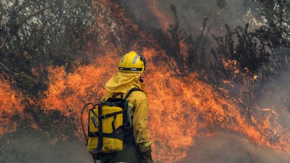 Un trabajador de las cuadrillas de extinción de incendios, durante una de sus intervenciones
